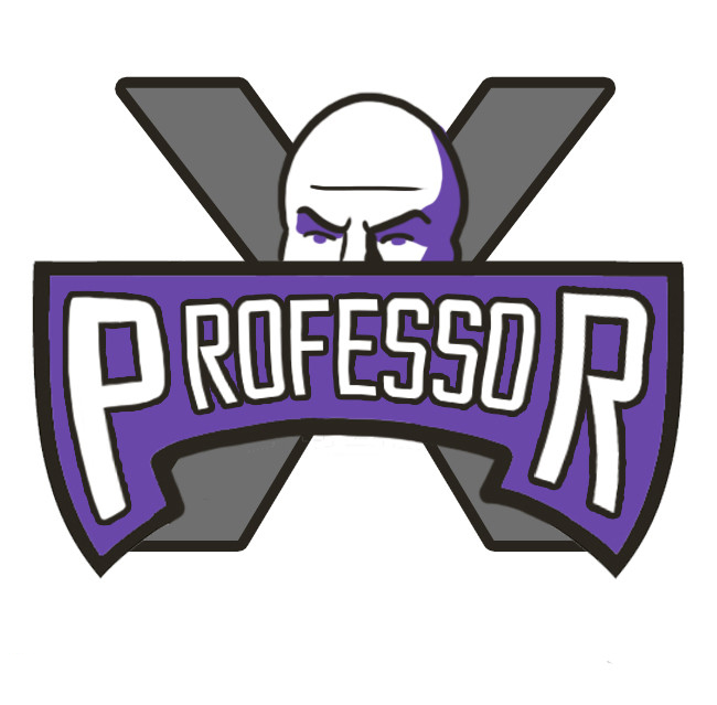 Sacramento Kings Professor X logo fabric transfer
